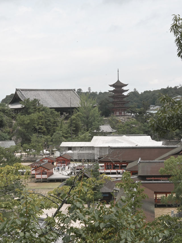 【広島】広島の絶景、厳島神社⛩️