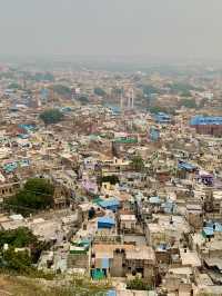 Pachetia Hill - Jodhpur City Viewpoint Hike 💙🦋