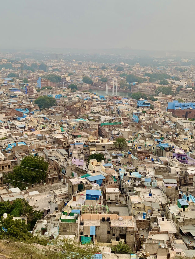 Pachetia Hill - Jodhpur City Viewpoint Hike 💙🦋