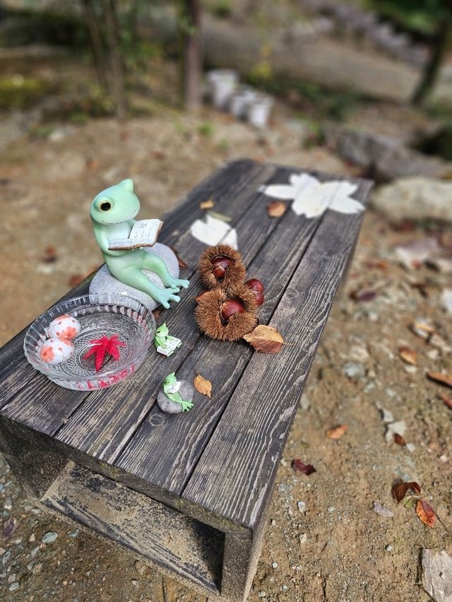 【リスがたくさん？！癒しとかわいいが詰まった神社】