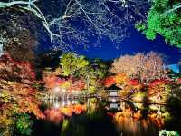 ปราสาทวากายามะ (Wakayama Castle)