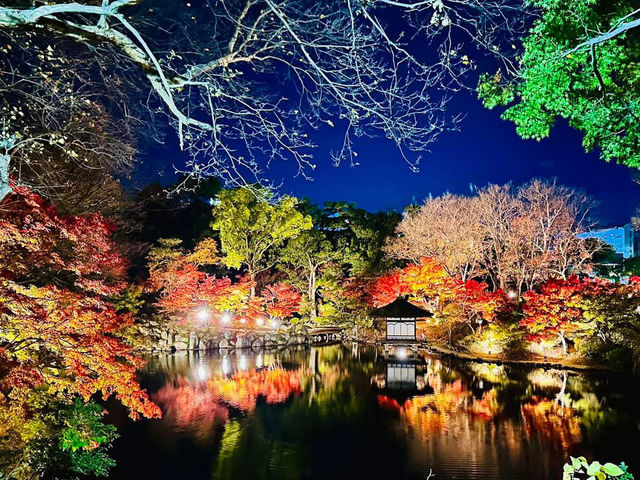 ปราสาทวากายามะ (Wakayama Castle)