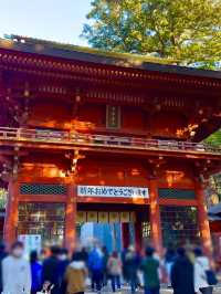 歴史と自然が融合する場所、『鹿島神宮』の魅力⛩️