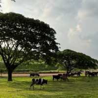 FARM FRESH @ UPM (Industry Centre of Excellence, ICoE)
