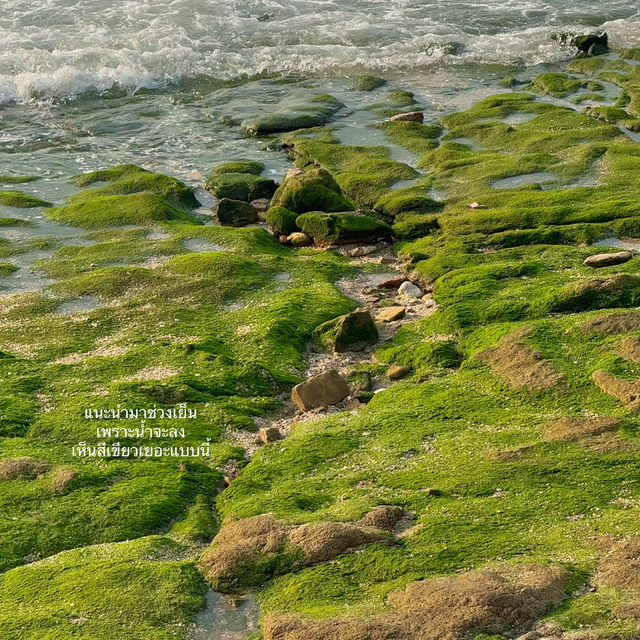 ชวนมาเดทถ่ายรูปคู่กันที่หาดลับพัทยา!! 