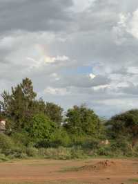 Safari Trip Kenya 🇰🇪 