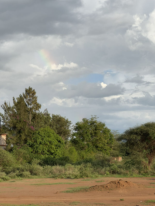 Safari Trip Kenya 🇰🇪 