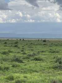 Animal Hunting during Safari Trip