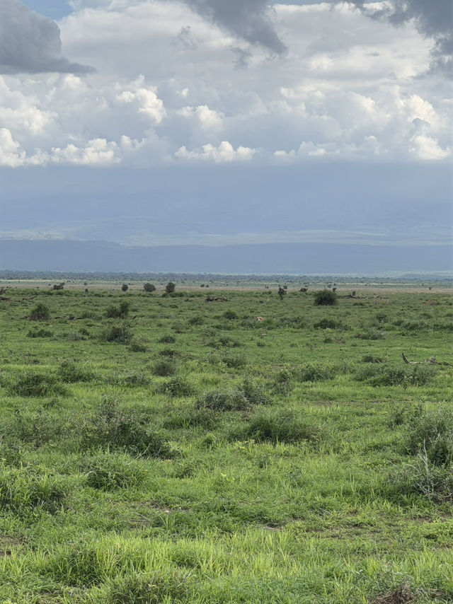 Animal Hunting during Safari Trip