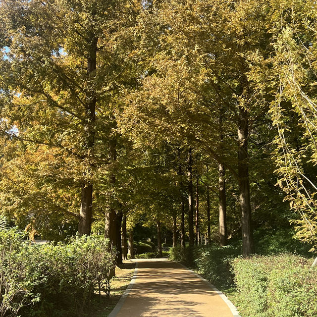 부산 가을 데이트 명소, 기장 용소웰빙공원