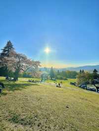 Burnaby Mountain Park
