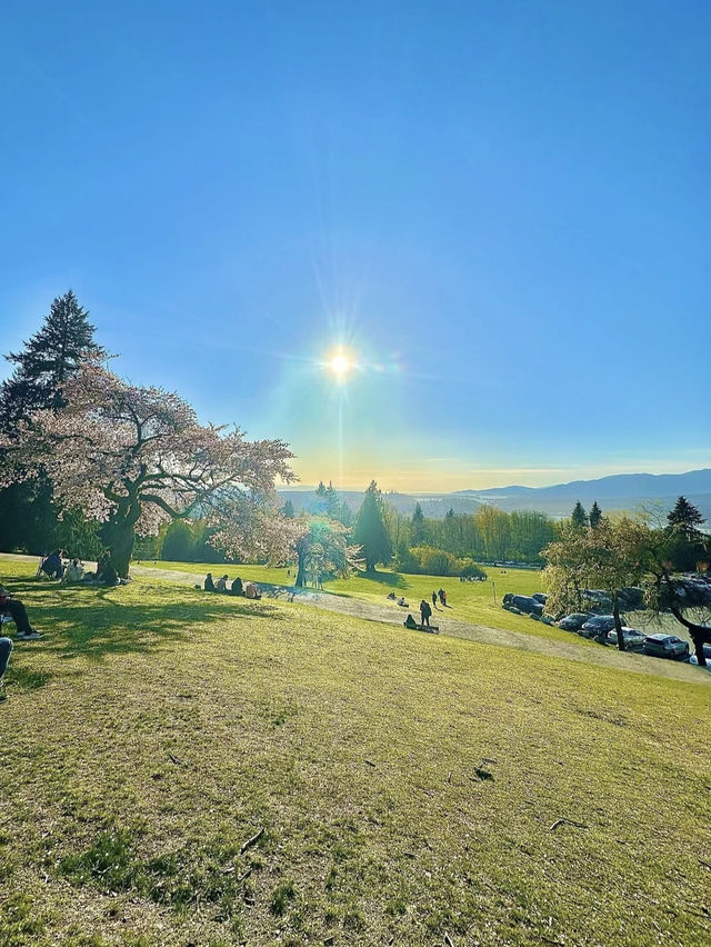 Burnaby Mountain Park