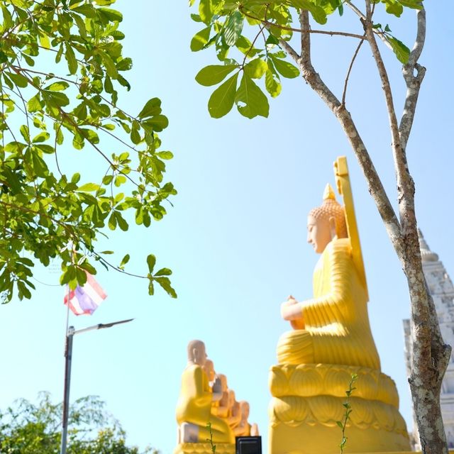 ⛰ วัดสุวรรณภูมิพุทธชยันตี 