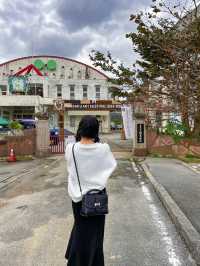 【沖縄】大宜味村 廃校になった小学校で毎年開催されているアートフェスティバル