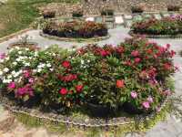 Chill to Thrill:Flower Wonderland 