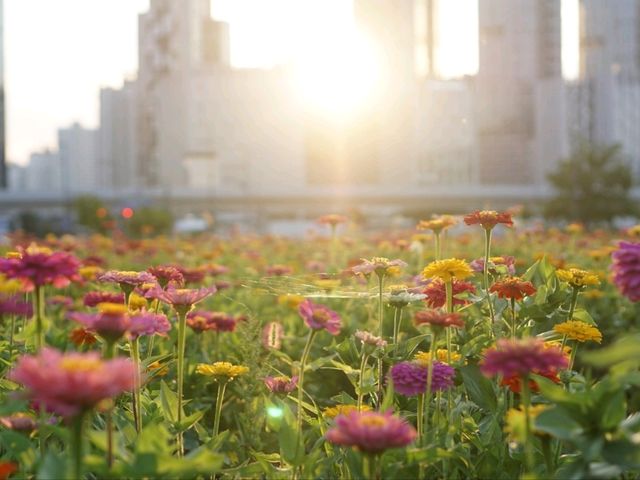 따뜻한 봄이 오면 떠나요 충청도로~