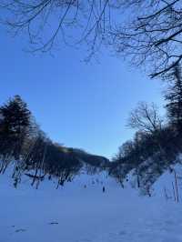 A Sky Paradise: Seasonal Scenery and Activities Await at ‘Biwako Valley’