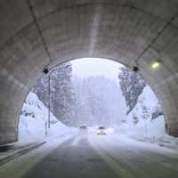 Forget about Hokkaido, come here instead!! 