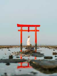 【佐賀】ここ知ってますか？海に浮かぶ幻想的な海中鳥居⛩🌊 