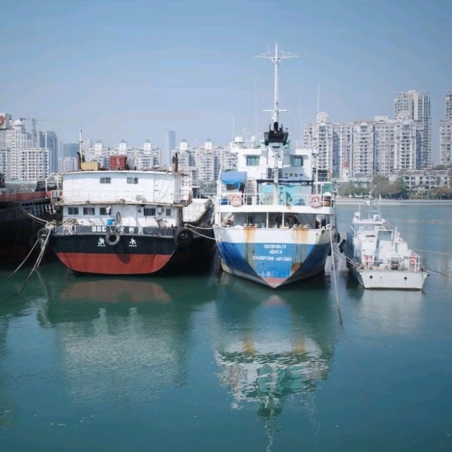 蛇口漁港的市井詩意｜漁人碼頭晨昏記
