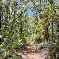 An Epic Adventure on the Cooloola Great Walk 🇦🇺