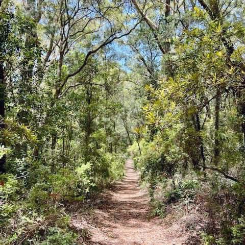 An Epic Adventure on the Cooloola Great Walk 🇦🇺