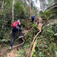 Conquering Gunung Ledang: A Mystical Malaysian Trek⛰️