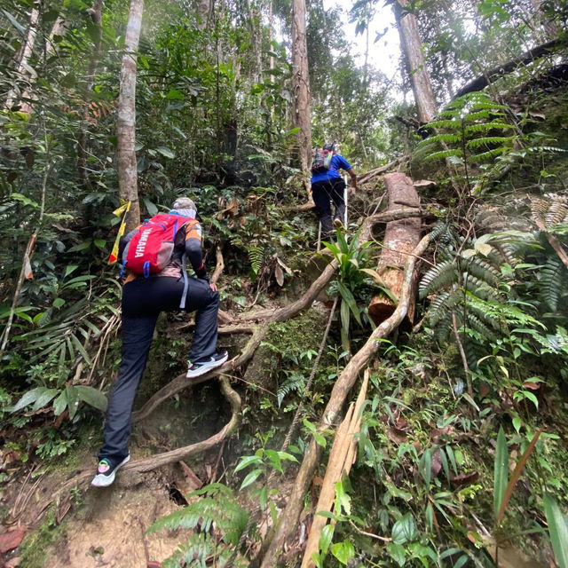 Conquering Gunung Ledang: A Mystical Malaysian Trek⛰️