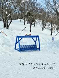 【岐阜／郡上】穴場のスキー場「ホワイトピアたかす」⁡