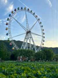 Uncover the Historical Charm of Dihua Ancient Town