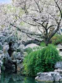 Discover the Hidden Gem of Jiangnan: Your Ultimate Guide to Xuntang Ancient Town!
