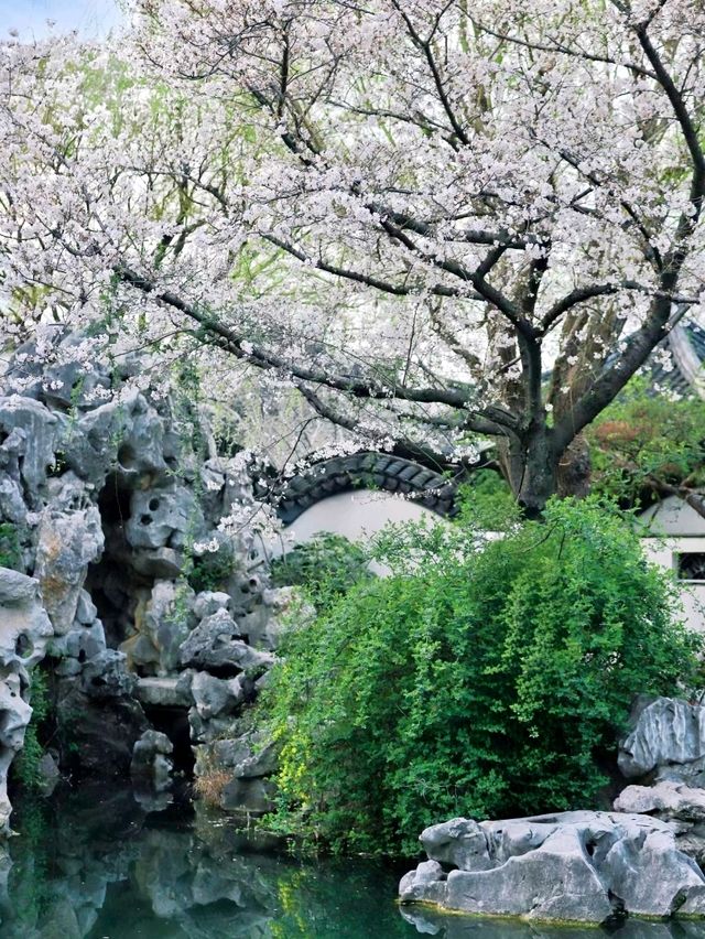 Discover the Hidden Gem of Jiangnan: Your Ultimate Guide to Xuntang Ancient Town!