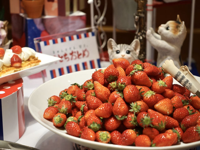 A Sweet Birthday Celebration at Hilton Tokyo🎉