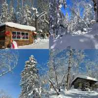 ปักหมุด 11 พิกัดสุดฮิต ตะลุยแดนน้ำแข็ง เมืองฮาบิ้น