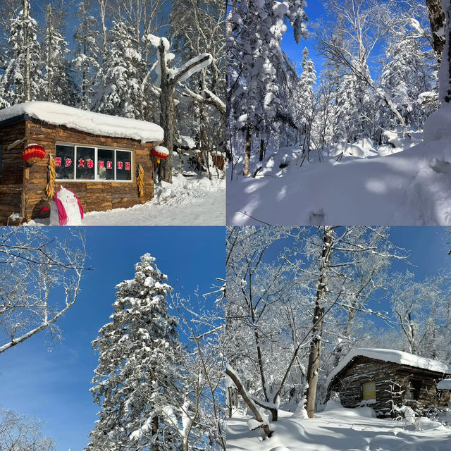 ปักหมุด 11 พิกัดสุดฮิต ตะลุยแดนน้ำแข็ง เมืองฮาบิ้น