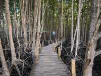 ทุ่งโปรงทองระยอง