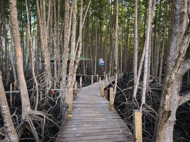 ทุ่งโปรงทองระยอง
