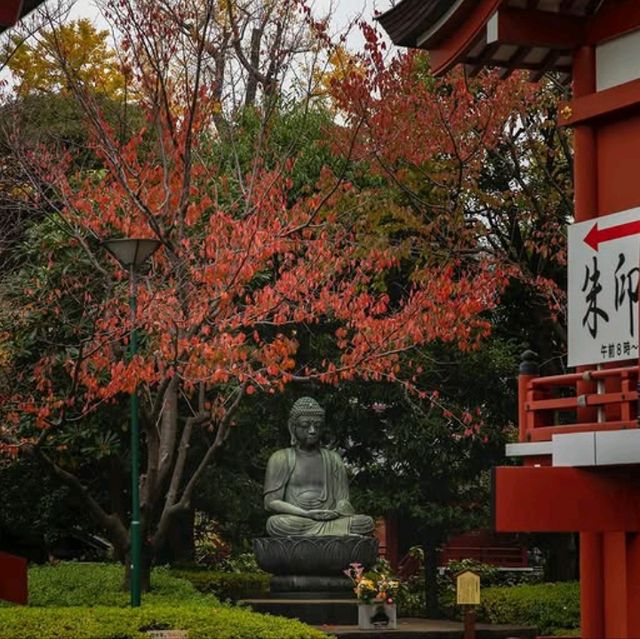 It is pretty large and is one beautiful place in asakusa