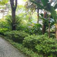 【巴馬國家公園日觀】