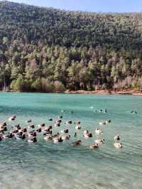 Blue Moon Valley: A Jewel at the Foot of the Mountain