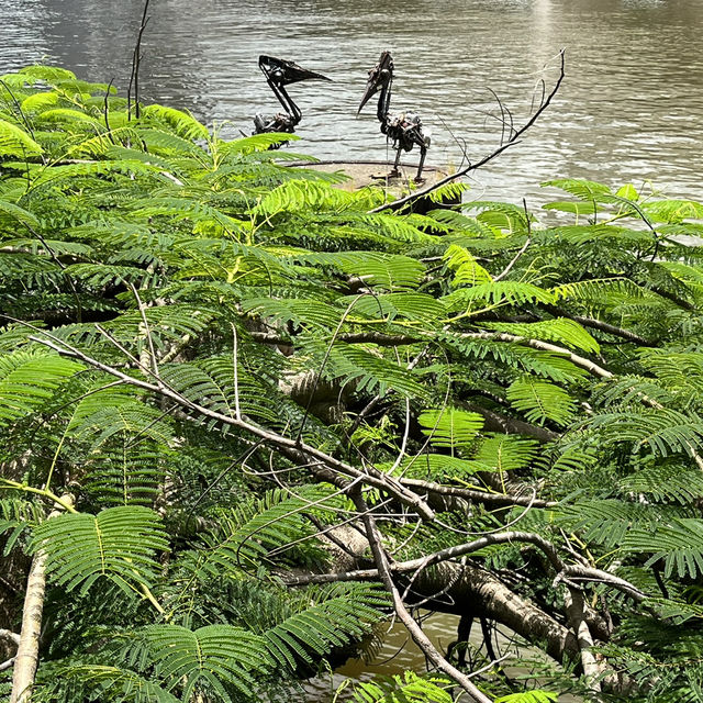 Southbank, kangaroo point and Brisbane city trip
