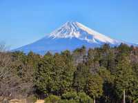 休閒玩樂之旅