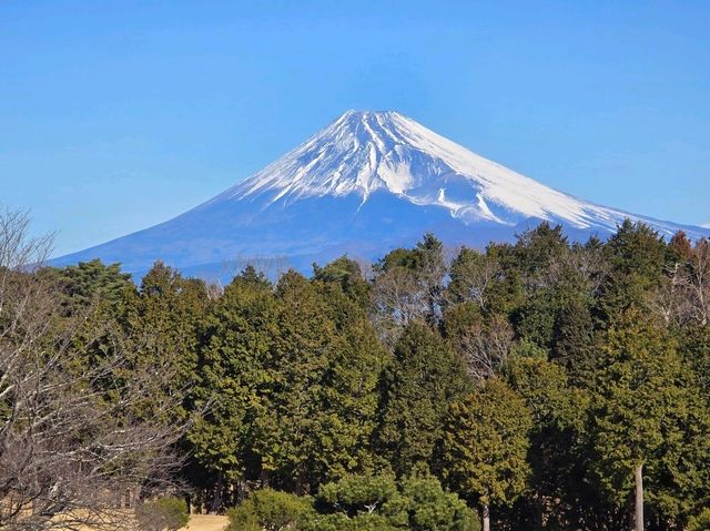 休閒玩樂之旅