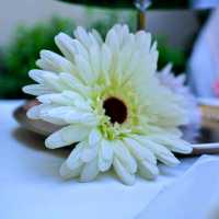 🥧 Celebread Bakery & Tea room