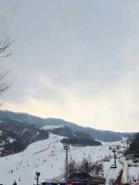 ❄️겨울 야외데이트 추천 스키&썰매장❄️