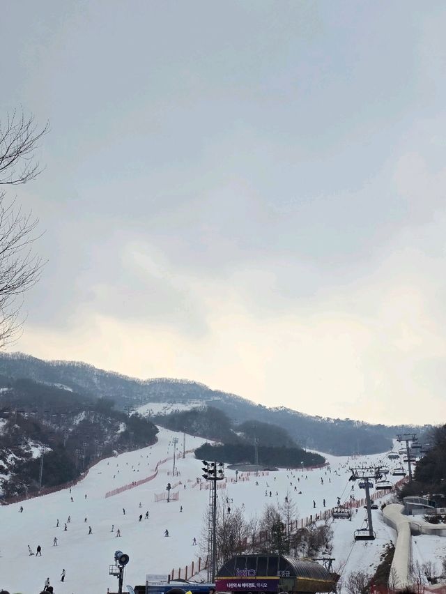 ❄️겨울 야외데이트 추천 스키&썰매장❄️