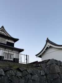 福岡舞鶴公園：歷史與自然的完美交融 🌿