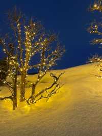 雪降る弘前城、冬の特権雪桜ライトアップ✨