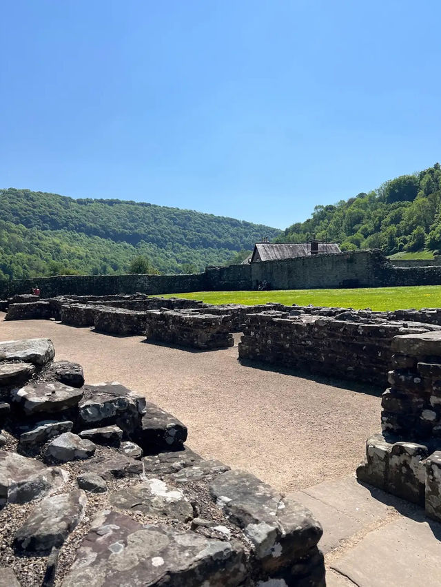 Tintern Abbey