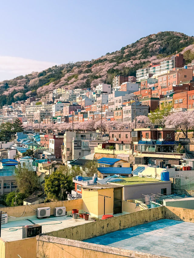 알록달록한 벽화와 모노레일이 지나가는 그림같은 봄날💗